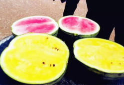 各种普通人吃瓜爆料,普通人视角下的明星八卦风云